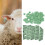Numbered Animal Ear Tags for Pigs Sheep 11