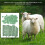 Numbered Animal Ear Tags for Pigs Sheep 16