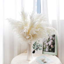 Accessoires de photographie YiFudd style bohème pour la décoration intérieure : bouquet de fleurs séchées, bois de la pampa, arrangement pour