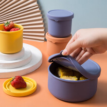 Saladedressingbakjes 250/700 ml met lekvrije siliconen deksels, roestvrijstalen dipbekers voor kinderen, lunchbox, picknick - compatibel met AURORA