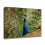 Αφίσα σε καμβά Peacock, διακόσμηση υπνοδωματίου, αθλητικό τοπίο, διακόσμηση 2