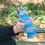 AuroraX faltbare Wasserflasche blau 473 ml 6