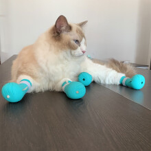 Focinheira VISALY para gatos, ideal para banho e tosa, com capuz ajustável e protetores, botas respiráveis anti-arranhões, sapatos de silicone e