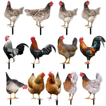 Decor de grădină cu cocoș acrilic, realist, dimensiuni multiple