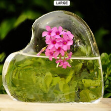Vaso transparente para hidroponia, vaso de vidro para decoração de casa, mesa ou escritório.