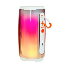 PAVEOS Sykkivä Bluetooth-kaiutin Täysillä RGB-valoilla, Langaton Äänentoisto, Ulko-/Pöytäkäyttö, Lasten Yhteensopiva, Valkoinen