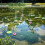 Lotus solfontän för trädgårdsdammdekoration 5