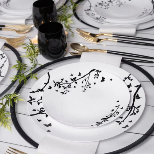 White and Black Plastic Dinner Plates 10" 50 pcs 1