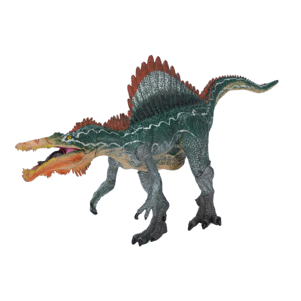Solid Dinosaur Model for Learning