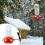 Heated Hummingbird Feeder Weather Resistant 1