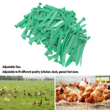 100 Numbered Poultry Leg Bands Adjustable