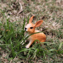 Educational Forest Animal Figurines