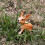 Educational Forest Animal Figurines 1