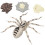 Pretend Play Insect Toy Educational 6