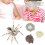 Pretend Play Insect Toy Educational 7