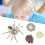 Pretend Play Insect Toy Educational 9