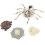 Pretend Play Insect Toy Educational 11