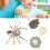 Pretend Play Insect Toy Educational 12