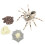 Pretend Play Insect Toy Educational 13