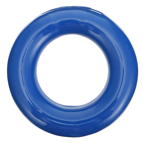 Anneau de lestage pour flacon Erlenmeyer – Bleu, 8,5 cm, Fer et 1