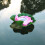 LED Πλωτό Φως Πισίνας Lotus Λάμπα Νερού Κήπου 1 τεμ. 3