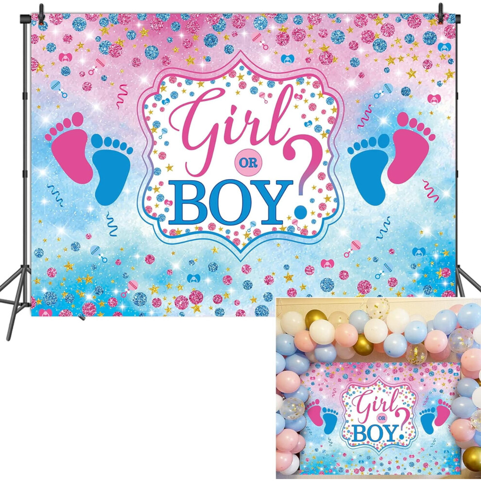 And Gender Reveal Backdrop 8X10 Ft Pink/Blue 901175922466
