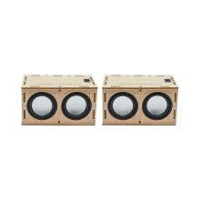 2x DIY-Lautsprecherbox-Bausatz mit elektronischem Verstärker – Bauen Sie Ihren eigenen tragbaren Lau