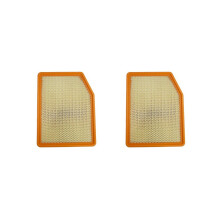 2X Engine Air Filter for Chevy Silverado Suburban Tahoe/ Sierra Yukon Xl/ Escalade A3246C 84121217 Af9243