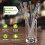 Roofei reusable glass straws for bubble tea, smoothies, 3