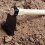Hand Hoe Garden Weeding Tool Durable 13.78 Inch 4