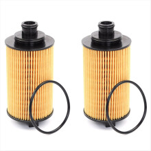 2PCS Oil Filter SH40X20136 for Hunter Pickup Kaicheng F70 G10 Shuailin