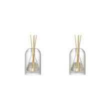 Lot de 2 flacons diffuseurs de rangement pour aromathérapie, flacons diffuseurs modernes en verre, organisateurs d'huiles essentielles, B