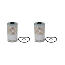 2x P550463 Kraftstofffilter-Wasserabscheider-Wagen 69032924 für