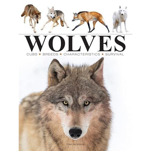Wolves by Tom Jackson Paperback Book