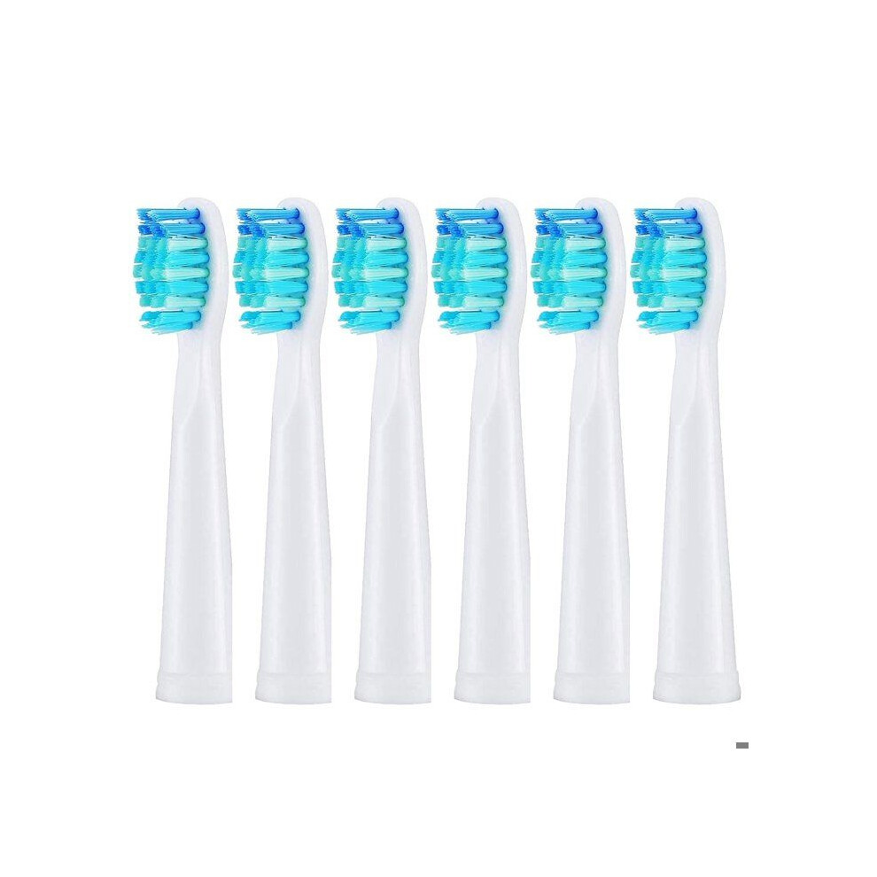 Replacement Brush Heads 6 Pack Compatible with Fairywill D7 D8 FW507 FW508 FW551 FW2011 FW917 FW959 FW515 and Seago SG E9 Electric Toothbrus