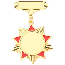 Pines de solapa con medallas de estrella para niños para el Día de los Veteranos