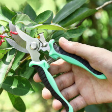 Sécateur de jardin en acier inoxydable – Vert, 19 cm