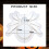 Halloween spider candle mold silicone2pcs 2