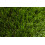 Gazon artificial KYRA gata de dimensiuni 133x750 cm 6