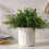 Ceramic Utensil Holder with Cork Base and Removable Divider 4