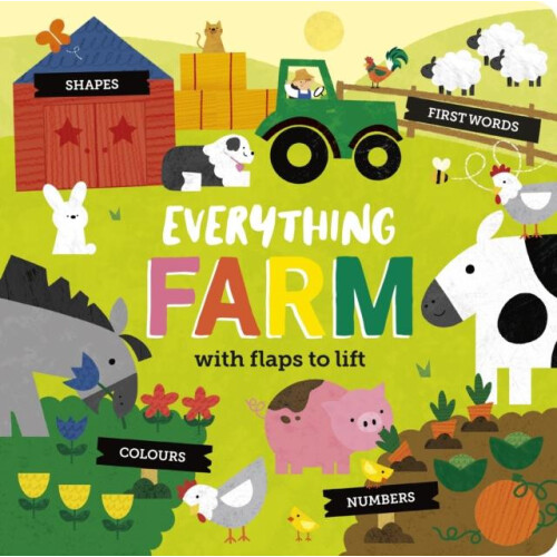 Everything Farm by Becky Davies Other Book
