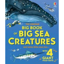 Big Book of Big Sea Creatures by Minna Lacey Hardcover Book