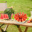 Watermelon Slicer Stainless Steel 12-Piece Set 6