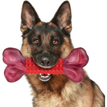 Osso da masticare resistente al gusto di manzo per cani, 20 cm, in nylon e gomma, per cani di taglia media e grande, colore rosso, 1 pe