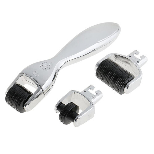 σε 1 σετ κυλίνδρων Derma Microneedle τιτανίου 0,25 0,5 1,0 mm για περιποίηση προσώπου και δ