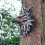 Lifelike Resin Eagle Pendant 12