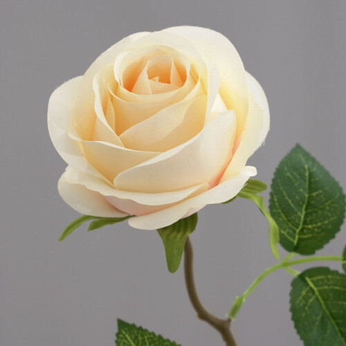 Rosas artificiais bege de 50 cm (19,7 polegadas) 1