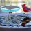Solar Water Wiggler for Bird Baths 21