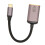 8K 60Hz USB C to Mini DisplayPort 1