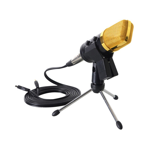 Cardioid USB Recording Mic